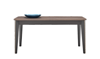 Extendable Table (160x90 cm)